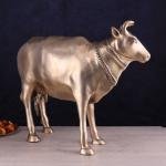 Pure Brass Large Cow Statue - Gomatha Idol | Elegant Spiritual Décor for Home, Temple & Office